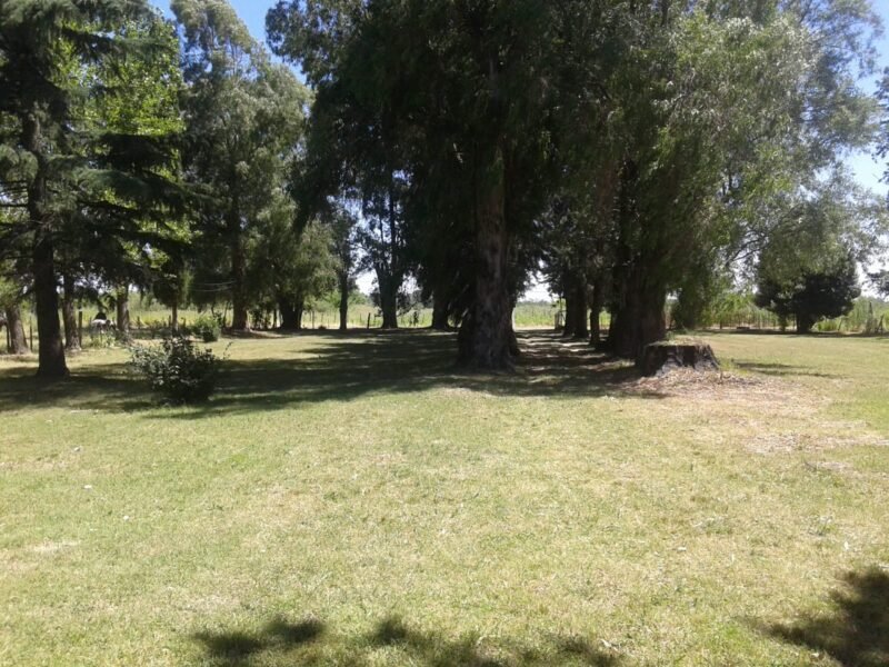 Quinta de 5.500 m2, con piscina. Ingeniero Allan, Varela