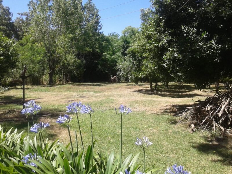 Quinta de 5.500 m2, con piscina. Ingeniero Allan, Varela