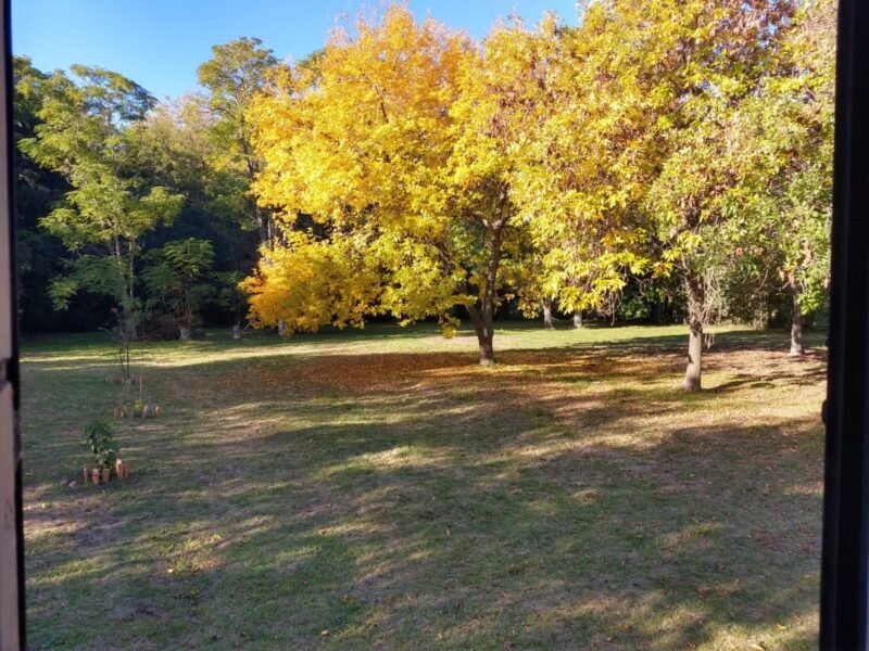 Quinta de 5.500 m2, con piscina. Ingeniero Allan, Varela