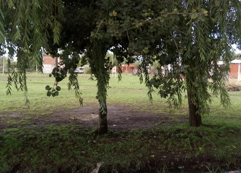 Unicos terrenos en El Pato, Berazategui, juntos o separados, escritura