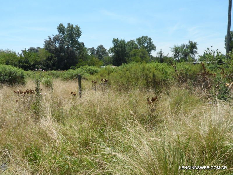 Quinta de 2.600 m2, baldía, Ingeniero Allan, Florencio Varela
