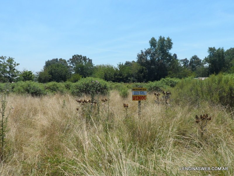 Quinta de 2.600 m2, baldía, Ingeniero Allan, Florencio Varela