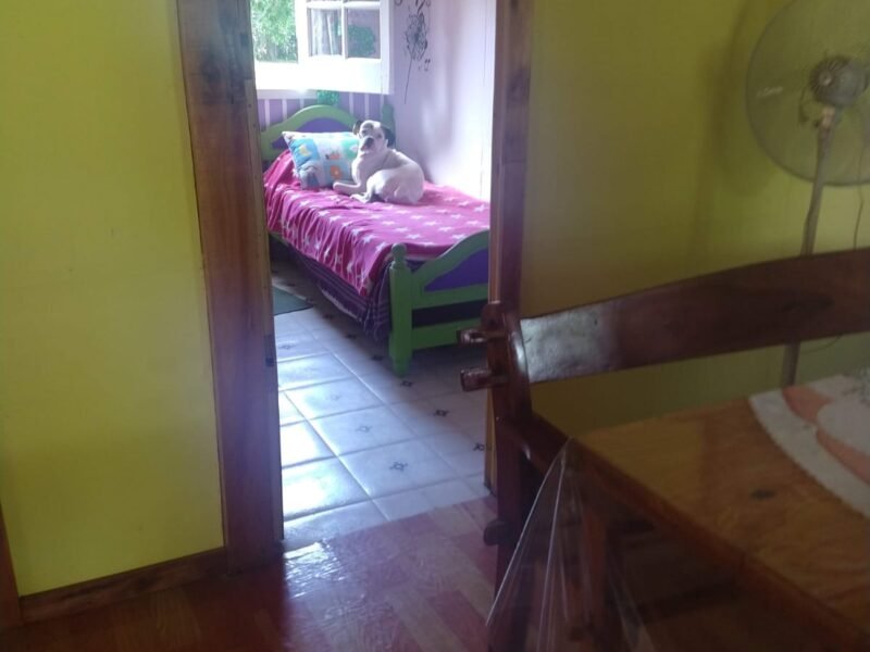 Quinta de 5.500 m2, con piscina. Ingeniero Allan, Varela 1123 s/n