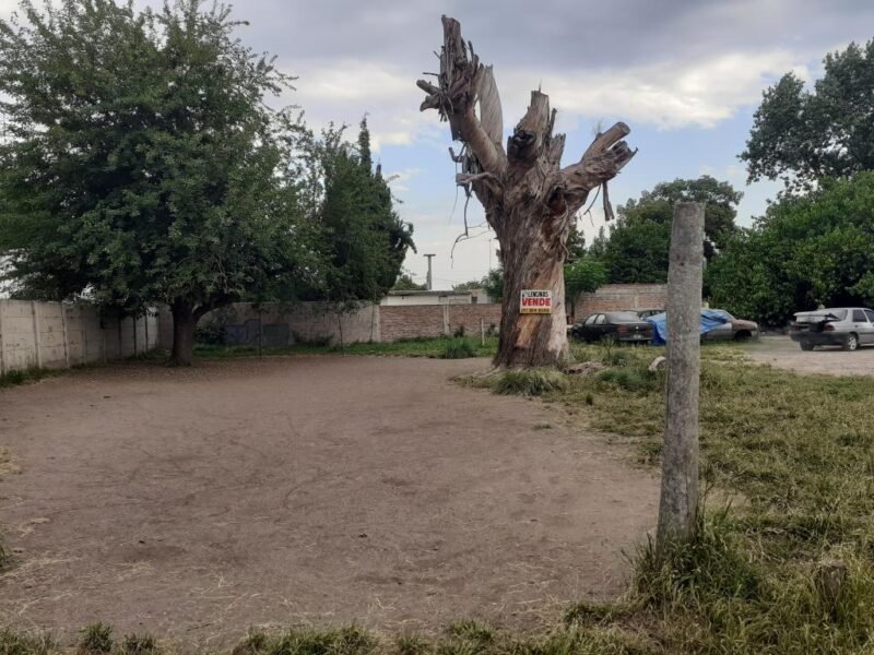 Tres terrenos aptos para créditos hipotecarios en Ingeniero Allan, Varela