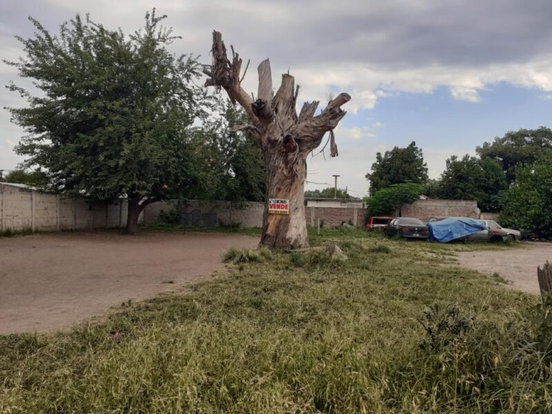 Tres terrenos aptos para créditos hipotecarios en Ingeniero Allan, Varela