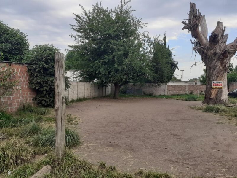 Tres terrenos aptos para créditos hipotecarios en Ingeniero Allan, Varela