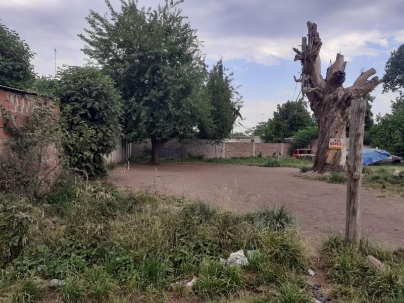 Tres terrenos aptos para créditos hipotecarios en Ingeniero Allan, Varela