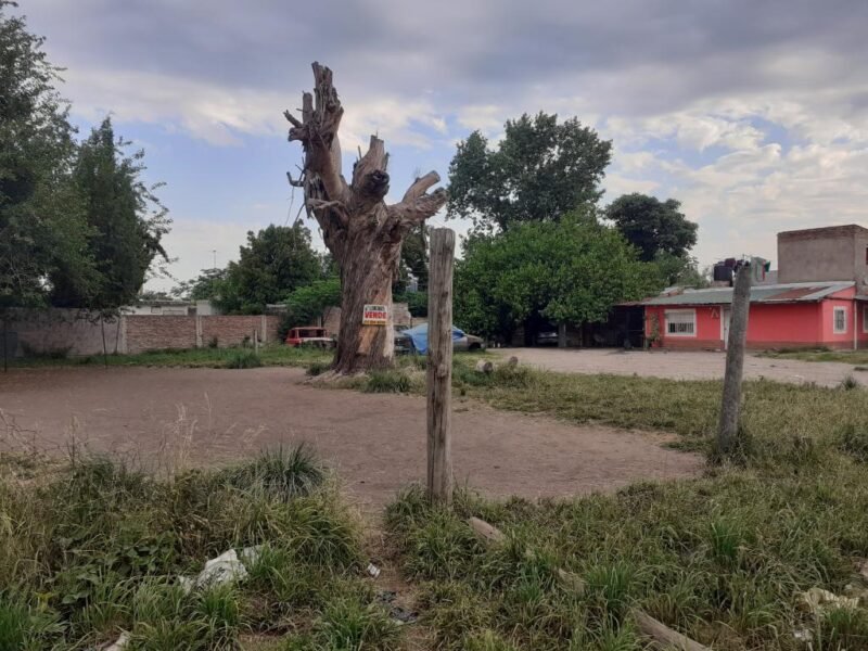 Tres terrenos aptos para créditos hipotecarios en Ingeniero Allan, Varela