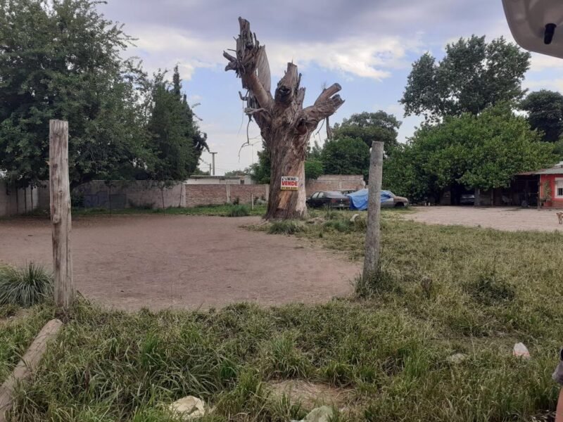 Tres terrenos aptos para créditos hipotecarios en Ingeniero Allan, Varela