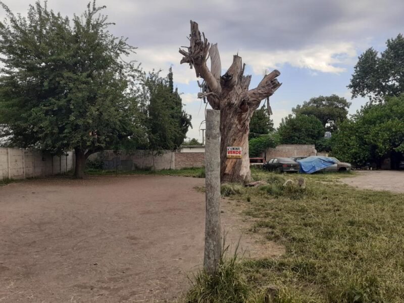 Tres terrenos aptos para créditos hipotecarios en Ingeniero Allan, Varela