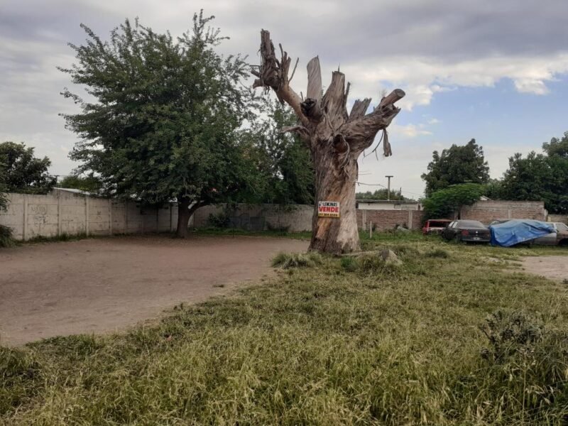 Tres terrenos aptos para créditos hipotecarios en Ingeniero Allan, Varela