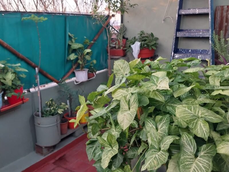 Departamento apto crédito hipotecario, dos plantas, Lanús Oeste